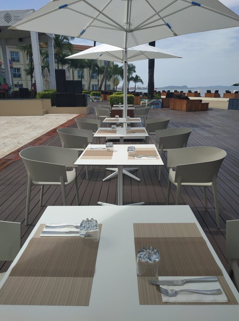 Palm Camayenne14 762x1024