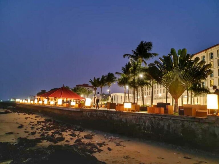 Palm Camayenne15 768x576
