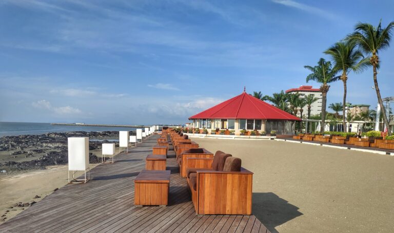 Palm Camayenne16 768x455